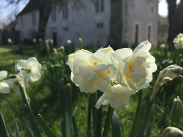 Château de Beauséjour - 80